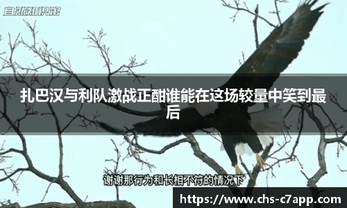 c7娱乐公司