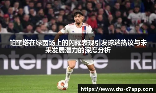 c7娱乐公司